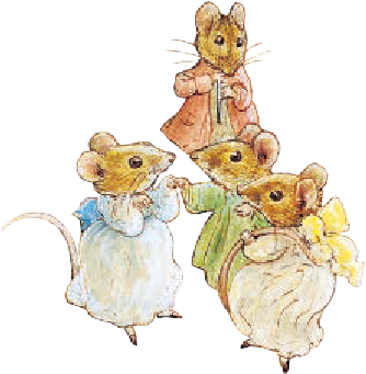 SUMMER STORY with Peter Rabbit™